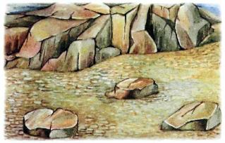 �������� - �������� ���