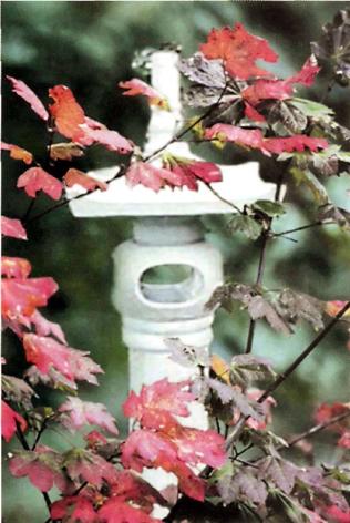 �������� - �������� ���