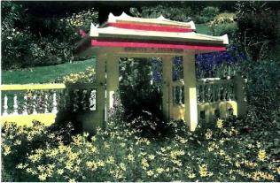 �������� - �������� ���