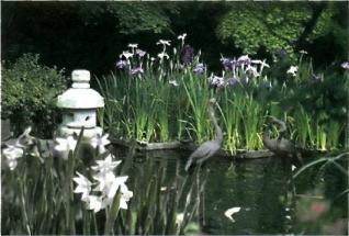 �������� - �������� ���