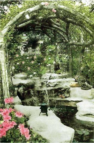 �������� - �������� ���