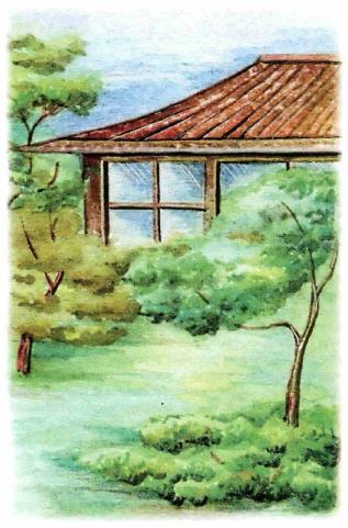 �������� - �������� ���