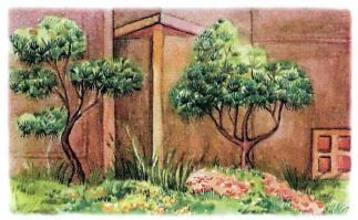 �������� - �������� ���