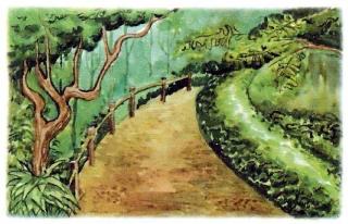 �������� - �������� ���