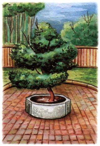 �������� - �������� ���