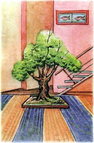 �������� - �������� ���