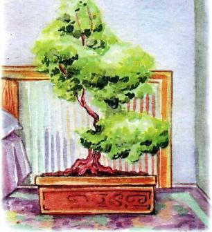 �������� - �������� ���