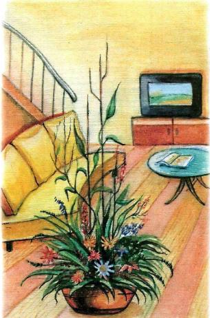 �������� - �������� ���