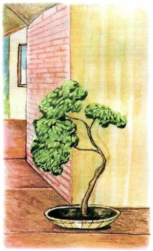 �������� - �������� ���