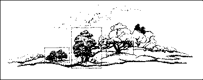 �������� �. - ������ �� �������� ����������� �����