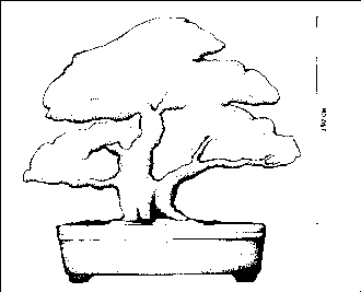 �������� �. - ������ �� �������� ����������� �����