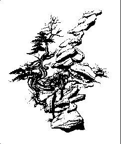 �������� �. - ������ �� �������� ����������� �����