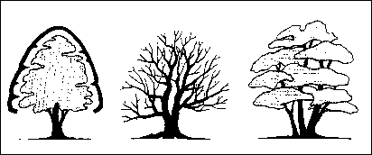 ������������ ������