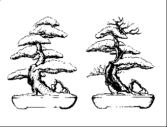 ������������ ������