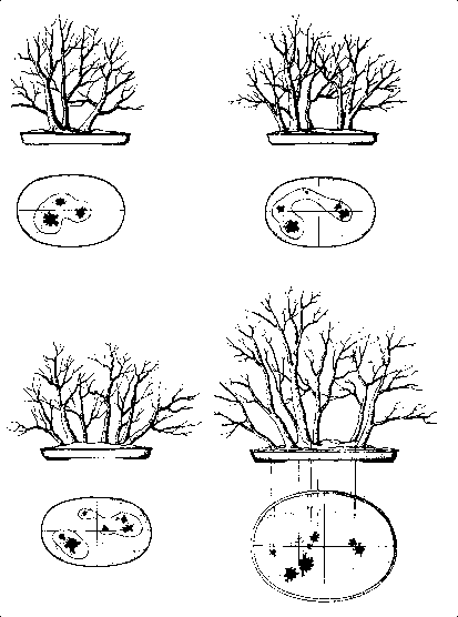 ����������� � ���������