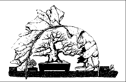 ������, ������ � �������, ��������