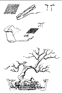 ��������� �����