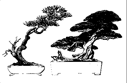 �������� �. - ������ �� �������� ����������� �����