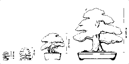 �������� �. - ������ �� �������� ����������� �����