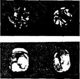 ��������� -������������ �������� ���