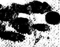 ��������� -������������ �������� ���