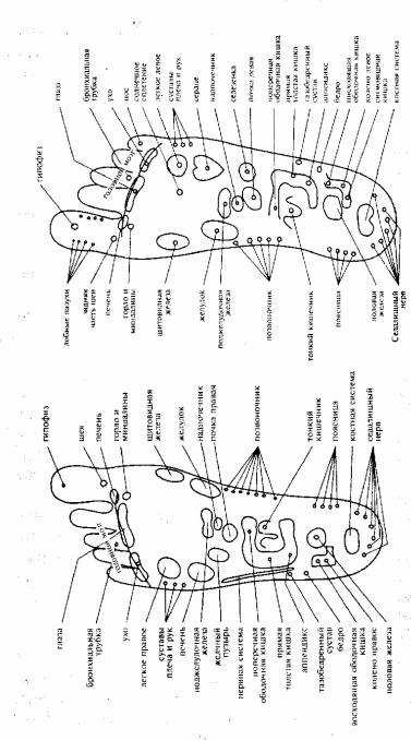 ��������� -������������ �������� ���