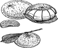 �������� - ��������� ����� � �����. �������� ���-��� ��� ����������� ������� � ������