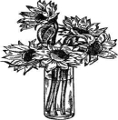 �������� - ��������� ����� � �����. �������� ���-��� ��� ����������� ������� � ������