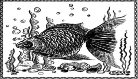 �������� - ��������� ����� � �����. �������� ���-��� ��� ����������� ������� � ������