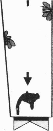 �� - ������ ���-���