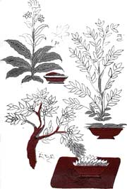 ������������� �������� � ��������� ��������