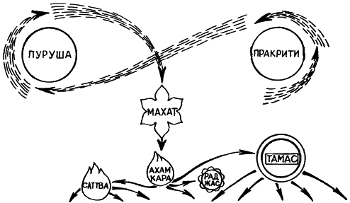 �������. �����  �������������