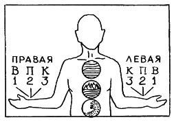 �������. �����  �������������