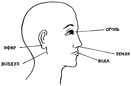 �������. �����  �������������