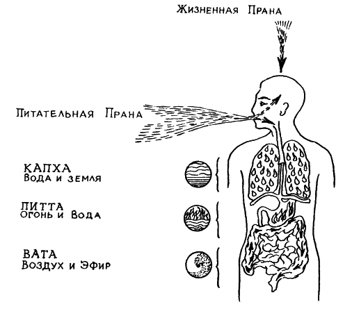 �������. �����  �������������