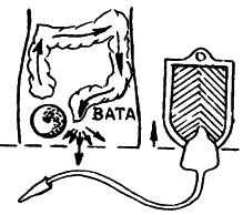 �������. �����  �������������