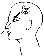 �������. �����  �������������