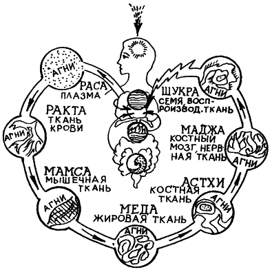 �������. �����  �������������