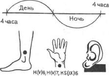 �������� - ������� ��������� �������