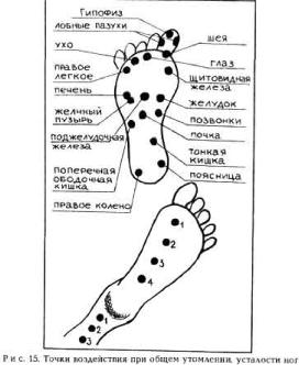 �������� - ������� ��������� �������