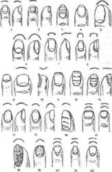 �������� - ������� ��������� �������