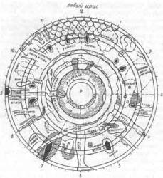 �������� - ������� ��������� �������