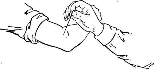 �������� ��������������