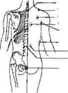 ������� �������� ������, ��� � �����