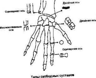 ����� ������