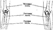 ������ �������� ������ �������� ����