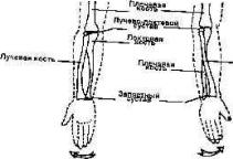 ������������ ���������� � �������� 