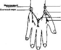 ������������ ���������� � �������� 