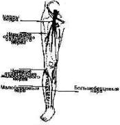 ������������ ������ � �������� ������� 