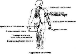 ����� ������